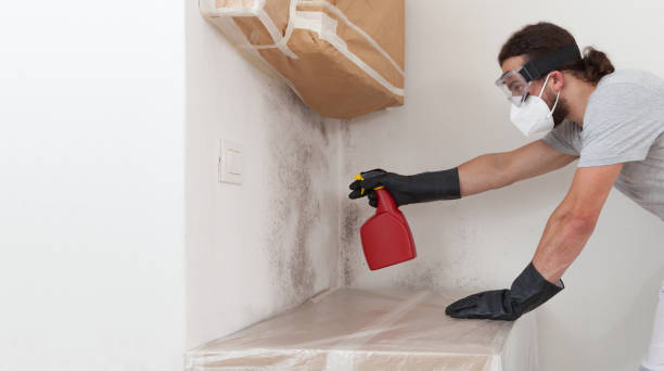 Professional Black Mold Removal technician working in Clifton, NJ