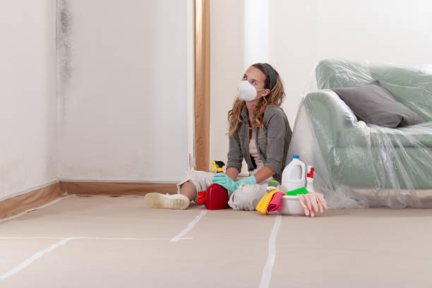 Reliable Black Mold Removal contractor in Clifton, NJ by WQB Mold Removal